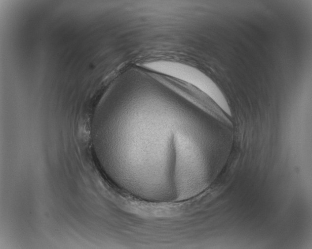 X0000080690040200701051111