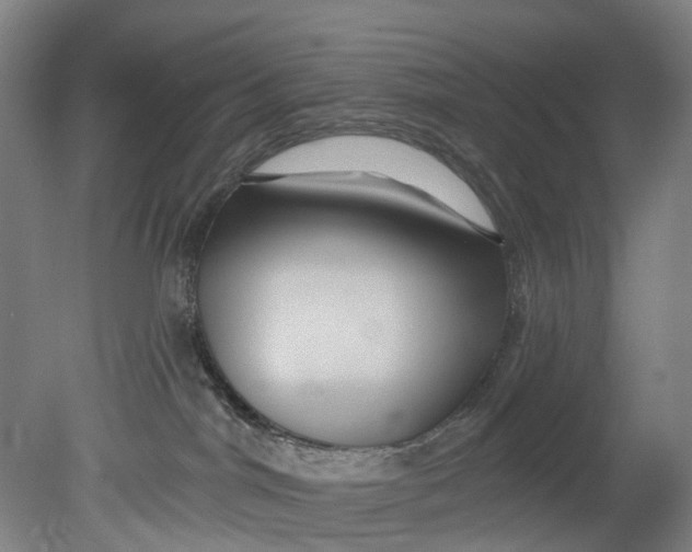 X0000080690044200701051111