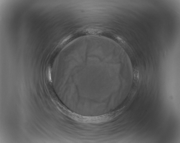X0000080690046200701051111