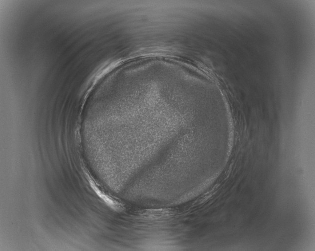 X0000080690050200701051110