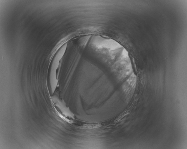 X0000080690051200701051111
