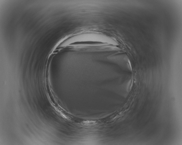 X0000080690052200701051111