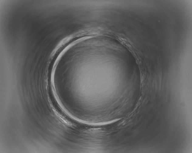 X0000080690054200701051111