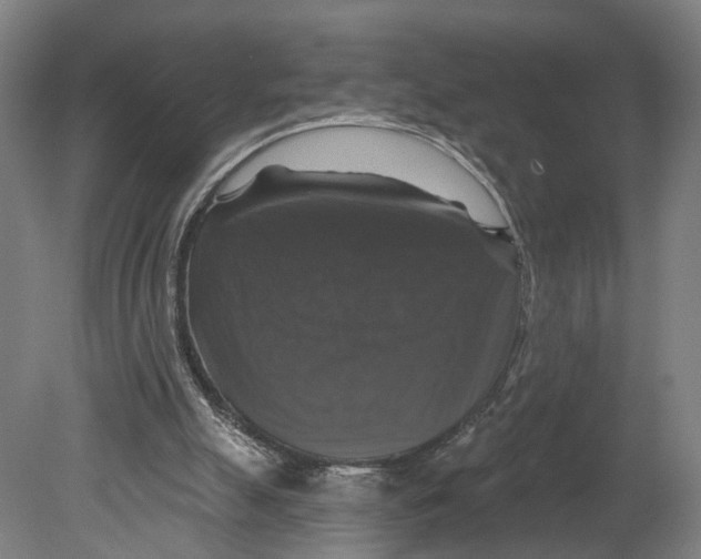 X0000080690055200701051111