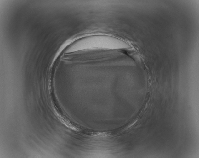 X0000080690056200701051111