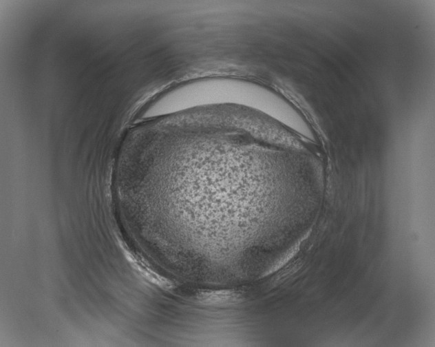 X0000080690058200701051111