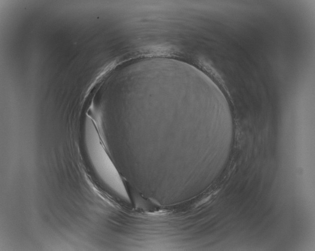 X0000080690059200701051111