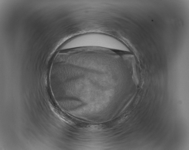 X0000080690060200701051111