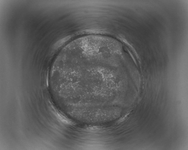 X0000080690062200701051111