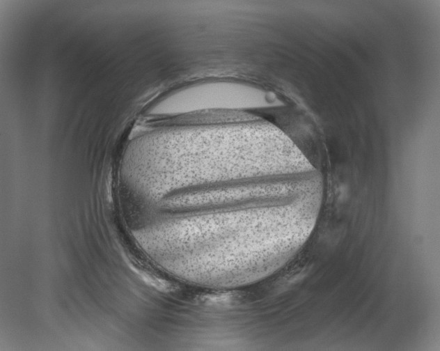 X0000080690068200701051111