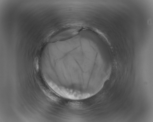 X0000080690069200701051111