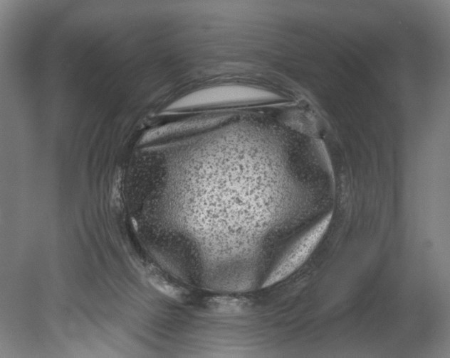 X0000080690073200701051111