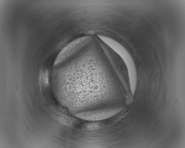 X0000080690075200701051111