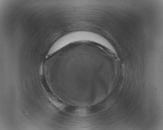 X0000080690076200701051111
