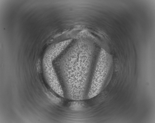 X0000080690077200701051111