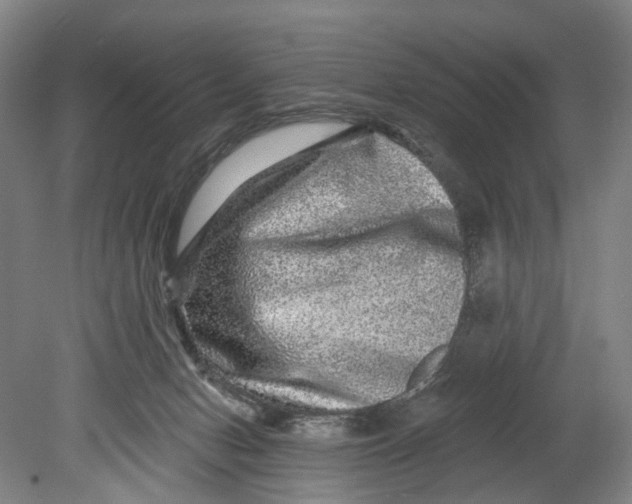 X0000080690078200701051111