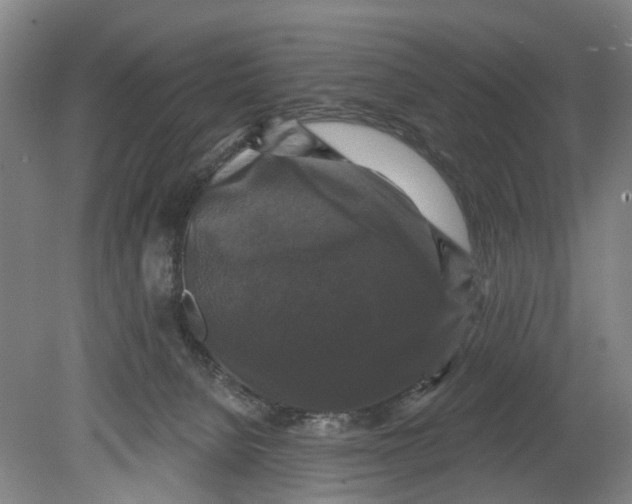 X0000080690080200701051111