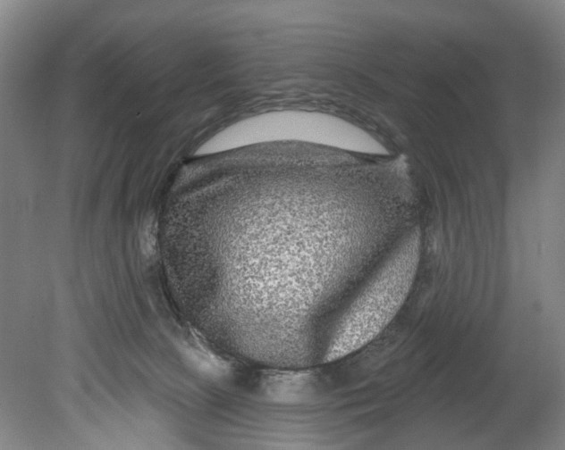 X0000080690081200701051111