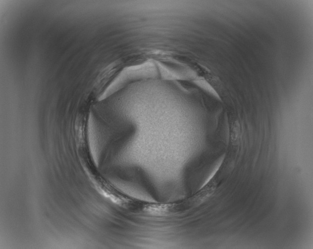 X0000080690084200701051111