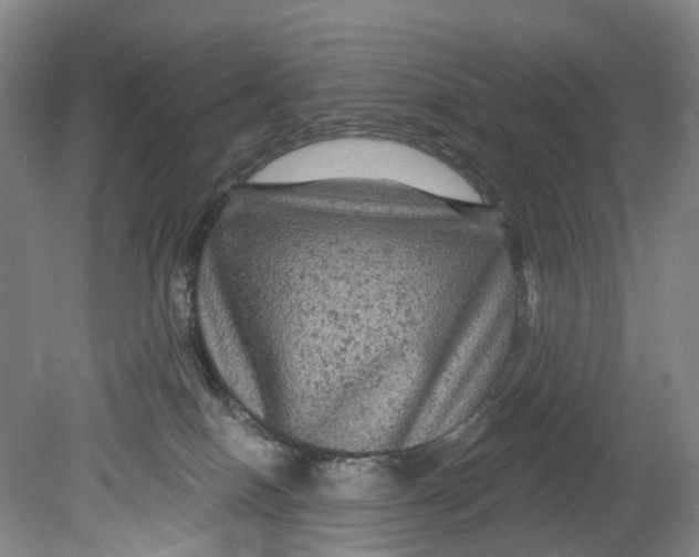 X0000080690086200701051111