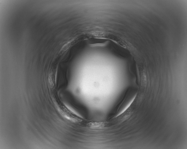 X0000080690088200701051111