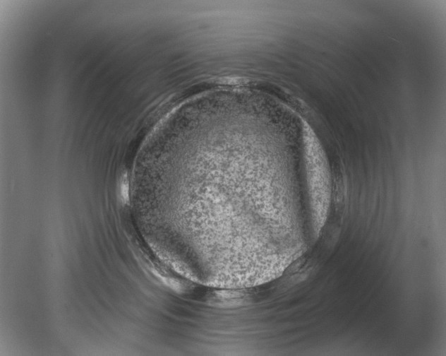 X0000080690095200701051111