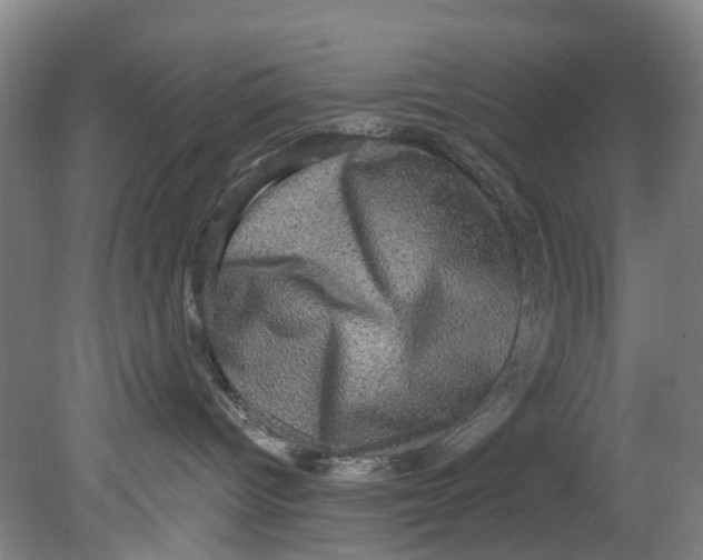 X0000080690096200701051111
