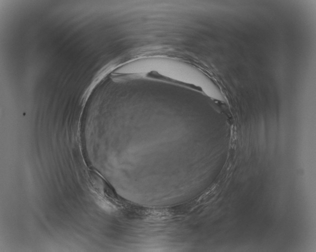 X0000080690099200701051110