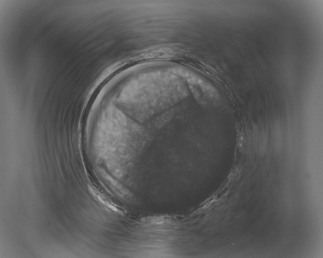 X0000080690100200701051110