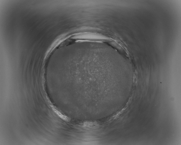 X0000080690101200701051110