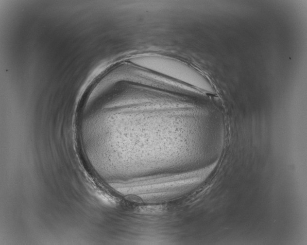 X0000080690102200701051110