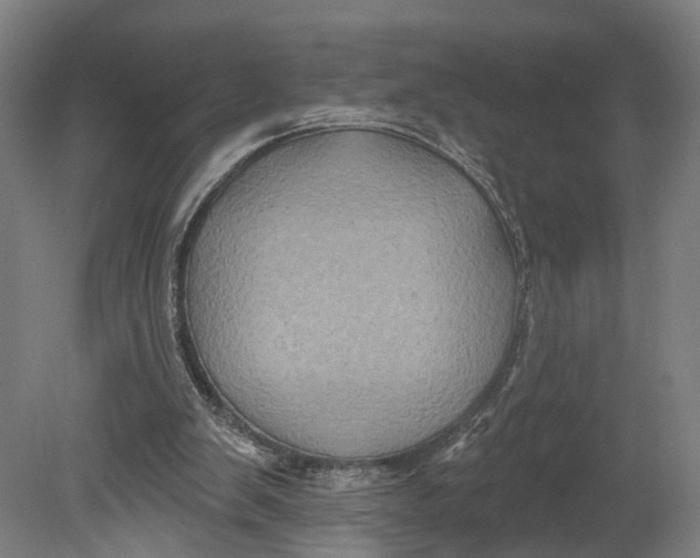 X0000080690103200701051110