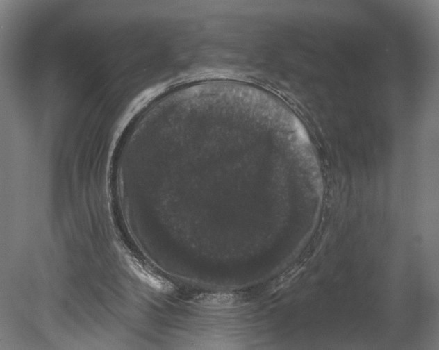 X0000080690104200701051110
