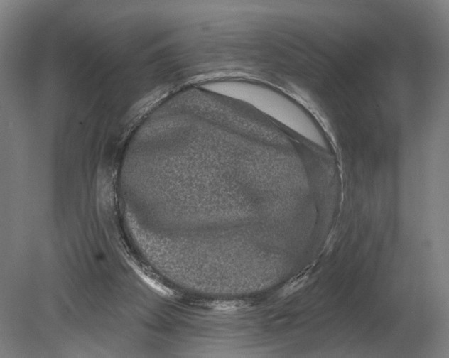 X0000080690105200701051110