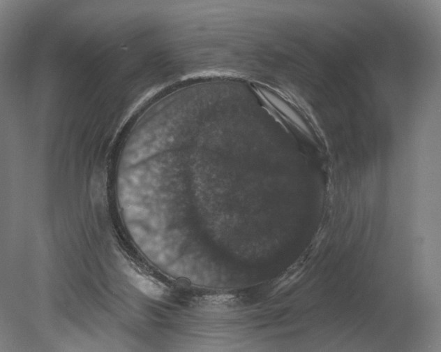 X0000080690108200701051110