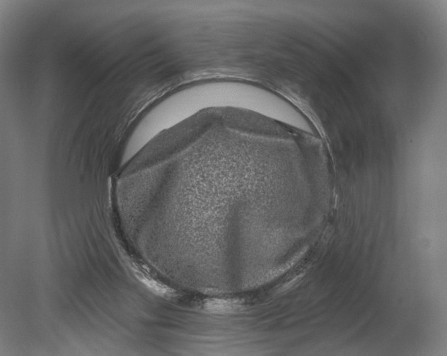 X0000080690109200701051110