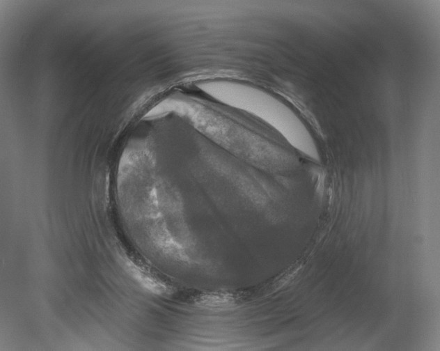 X0000080690110200701051110