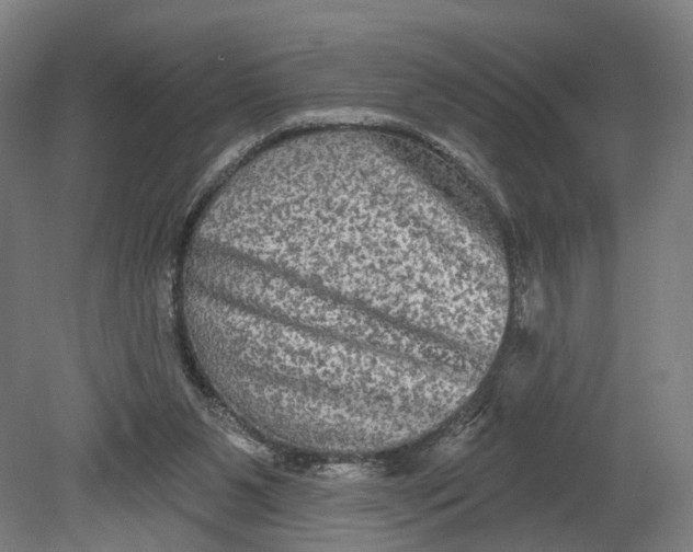 X0000080690111200701051110