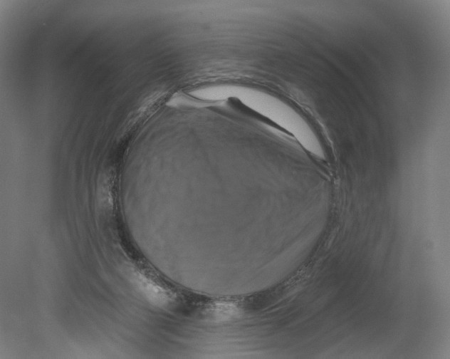 X0000080690114200701051110