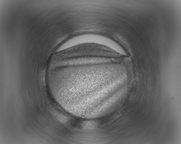 X0000080690115200701051110