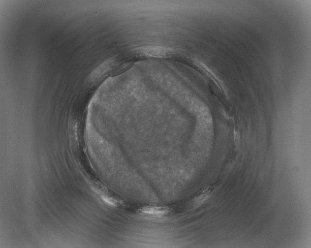 X0000080690117200701051110