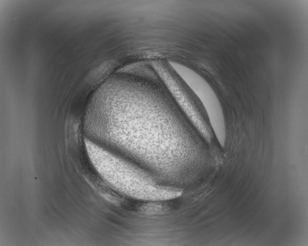X0000080690123200701051110