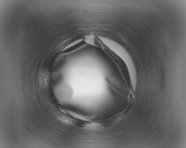 X0000080690125200701051110