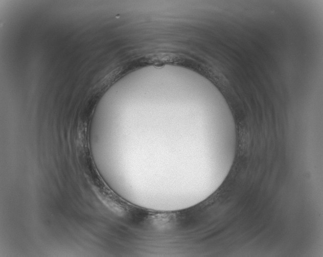 X0000080690126200701051110