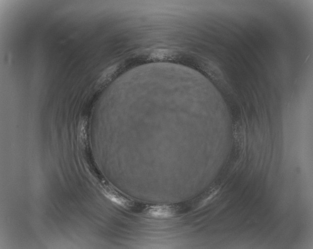 X0000080690127200701051110