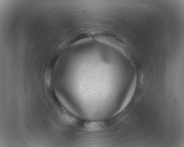 X0000080690129200701051110