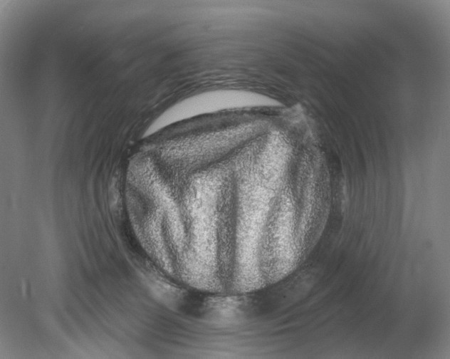 X0000080690131200701051110