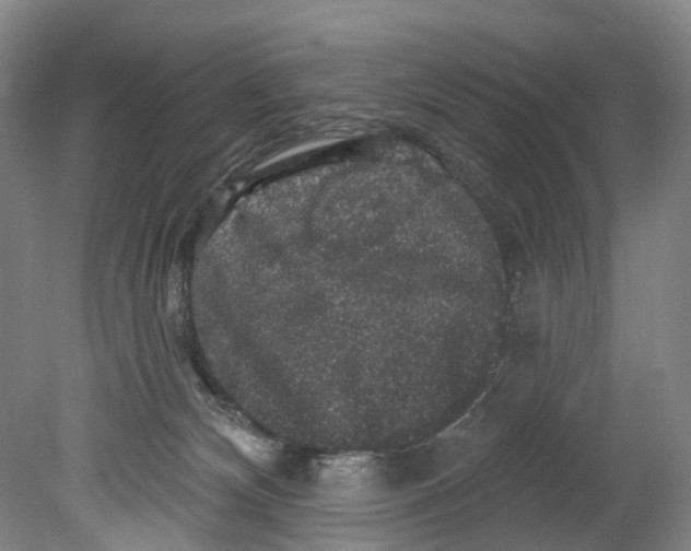 X0000080690132200701051110