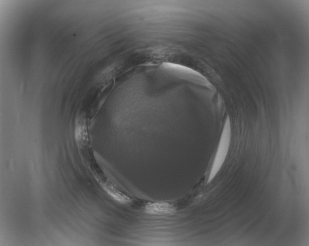 X0000080690137200701051110