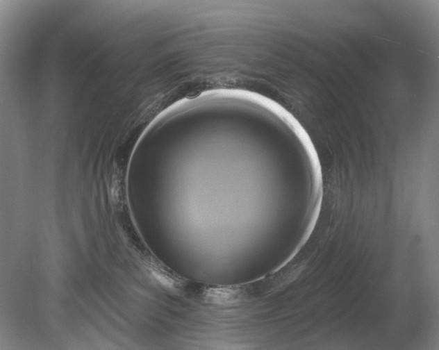 X0000080690139200701051110